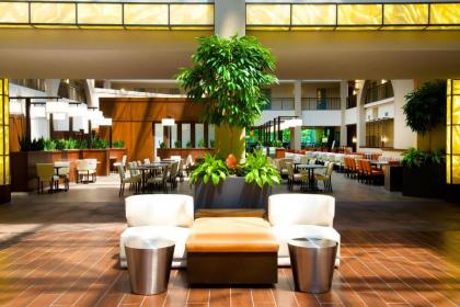 Embassy Suites by Hilton Cincinnati Northeast - Blue Ash - image 10
