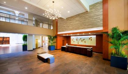 Embassy Suites by Hilton Cincinnati Northeast - Blue Ash - image 13
