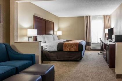 Comfort Inn Blue Ash North - image 8