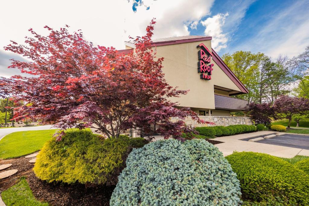 Red Roof Inn Cincinnati Northeast - Blue Ash - main image