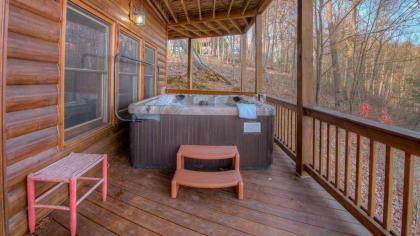 Black Dog of Blue Ridge by Escape to Blue Ridge - image 10