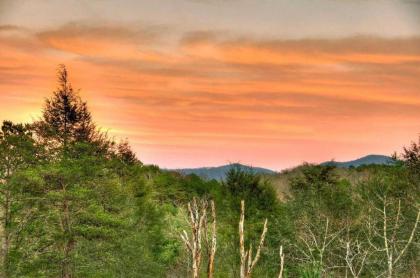 Forever Joy by Escape to Blue Ridge - image 4