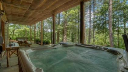 Fireside by Escape to Blue Ridge mineral Bluff Georgia