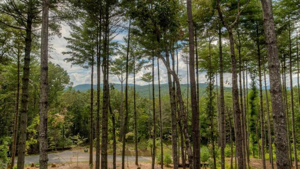 Pine Cone Mountain by Escape to Blue Ridge - image 5