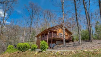 Misty Mountain Overlook by Escape to Blue Ridge - image 18
