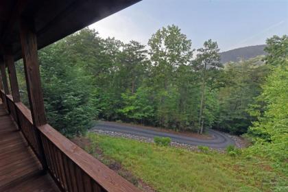 Bearly A Care At Aska- Blue Ridge - image 11