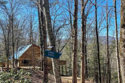 Secluded Mtn Escape with Game Room and Fire Pit! - image 12