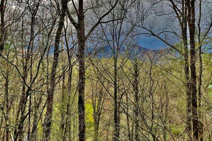 Secluded Mtn Escape with Game Room and Fire Pit! - image 14