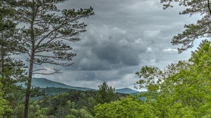 Retreatwood Mac by Escape to Blue Ridge - image 17