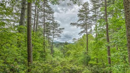 Retreatwood Mac by Escape to Blue Ridge - image 18