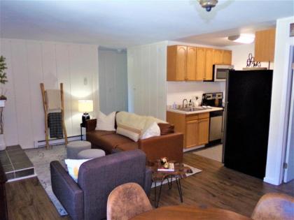 Blue River Condos 234 BRLR - image 6