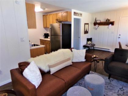Blue River Condos 234 BRLR - image 7