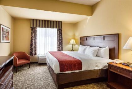 Comfort Inn & Suites Blytheville - image 8