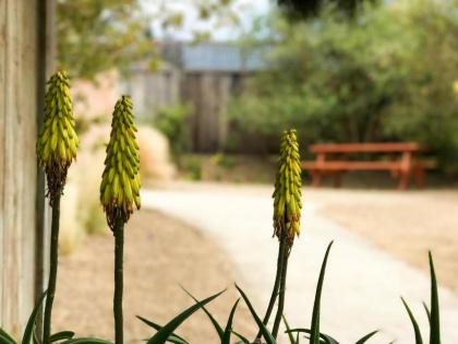 Bodega Bay Inn - image 9