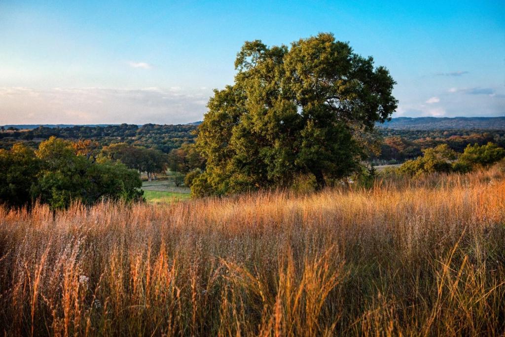 Joshua Creek Ranch - image 5