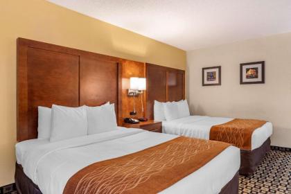 Comfort Inn & Suites Athens - image 12