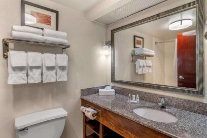 Comfort Inn & Suites Athens - image 14