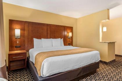 Comfort Inn & Suites Athens - image 15