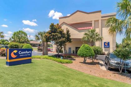 Comfort Inn & Suites Athens - image 4