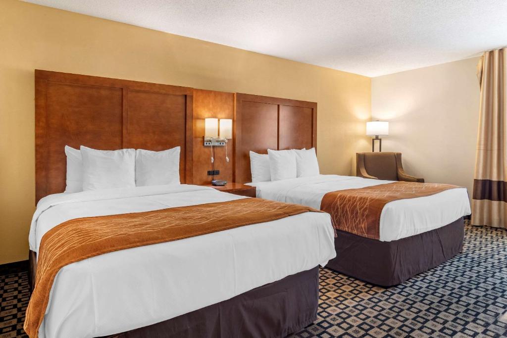 Comfort Inn & Suites Athens - image 7