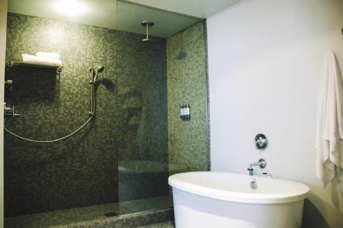 Modern Hotel - image 4