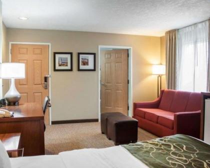 Comfort Suites Boise Airport - image 1