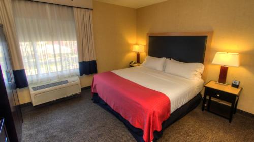 Holiday Inn Boise Airport an IHG Hotel - image 4