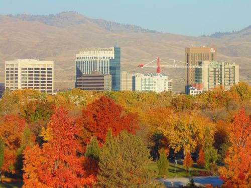 Holiday Inn Express & Suites Boise Airport an IHG Hotel - image 3