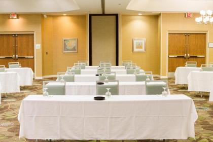 Holiday Inn Hotel & Suites Bolingbrook an IHG Hotel - image 11