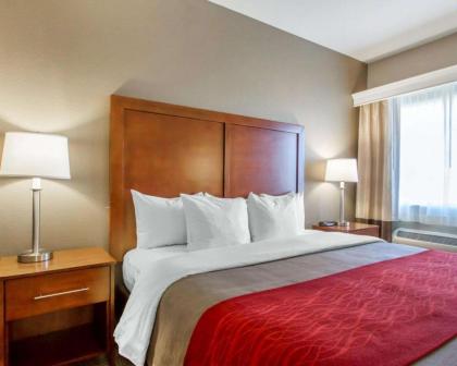 Comfort Inn Bolivar - image 5