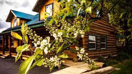 Dodge Peak Lodge Idaho