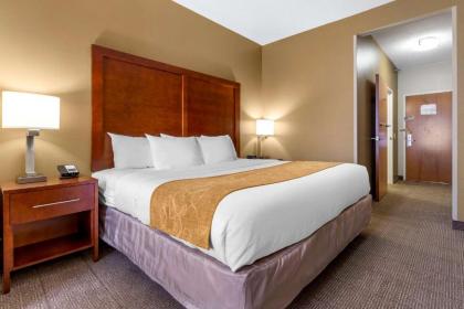 Comfort Suites Boone - University Area - image 12