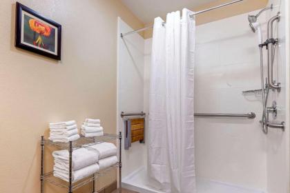 Comfort Suites Boone - University Area - image 14