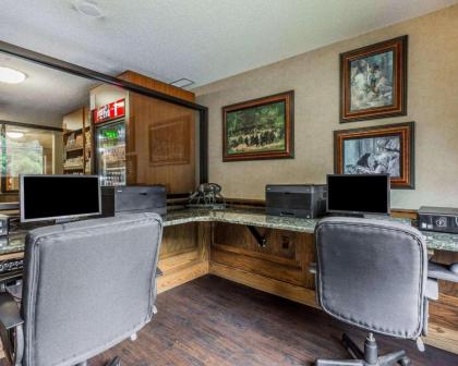 Comfort Suites Boone - University Area - image 4