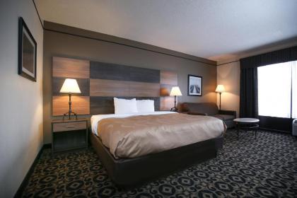 Quality Inn & Suites University - image 15