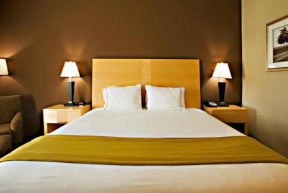 Holiday Inn Express Hotel and Suites Borger an IHG Hotel - image 13