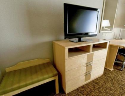 Holiday Inn Express Hotel and Suites Borger an IHG Hotel - image 2