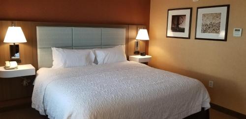 Hampton Inn & Suites Boston Crosstown Center - image 4