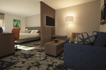 Best Western Plus Bourbonnais Hotel & Suites - image 5