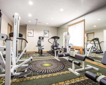 Comfort Inn Bourbonnais - image 3
