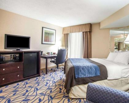 Comfort Inn Bourbonnais - image 4