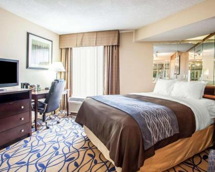 Comfort Inn Bourbonnais - image 5