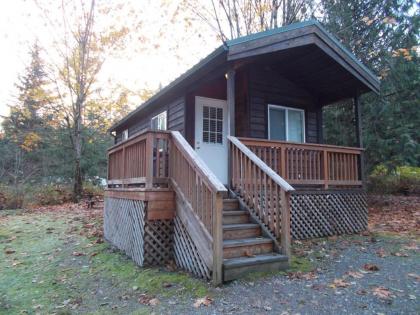 Mount Vernon Camping Resort Studio Cabin 5 - image 2