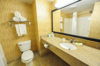 Holiday Inn Express Hotel & Suites Bowling Green an IHG Hotel - image 11