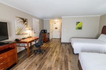 Hilton Garden Inn Bowling Green - image 12