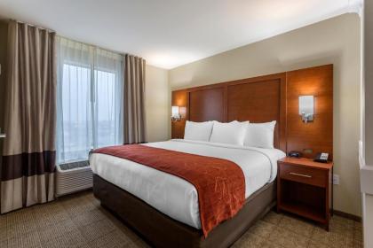 Comfort Suites - image 12