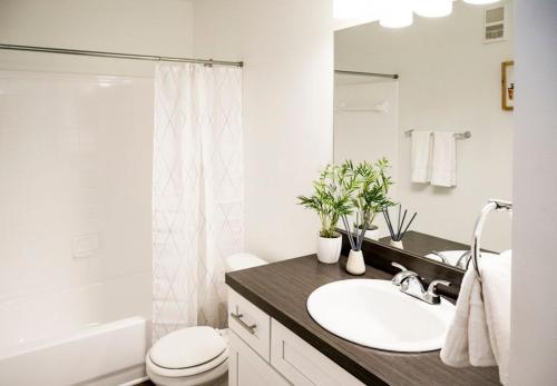 Viagem Perfect 1BR with Top Amenities 4min to IMG - main image