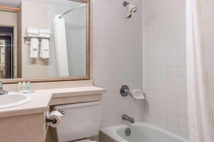 Quality Inn & Suites - image 12