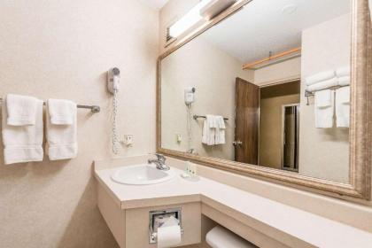Quality Inn & Suites - image 2