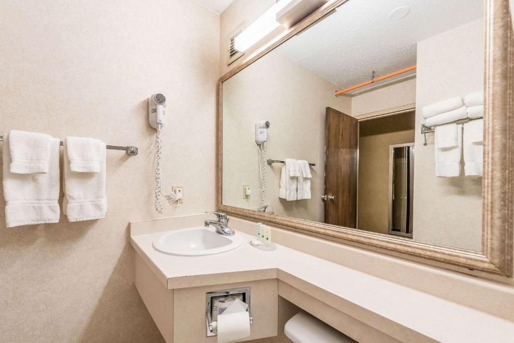 Quality Inn & Suites - image 2